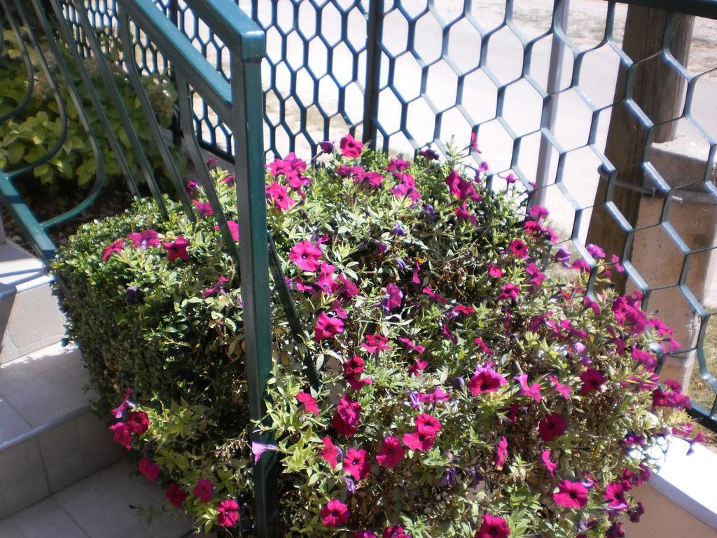 Apartment Boja Biograd Na Moru Luaran gambar